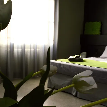 Miloft Guest And Terrace